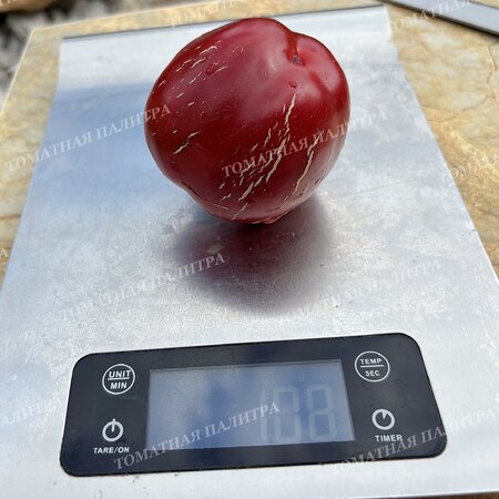 Томат Перец Ратунда Красная (Ratund Red)
