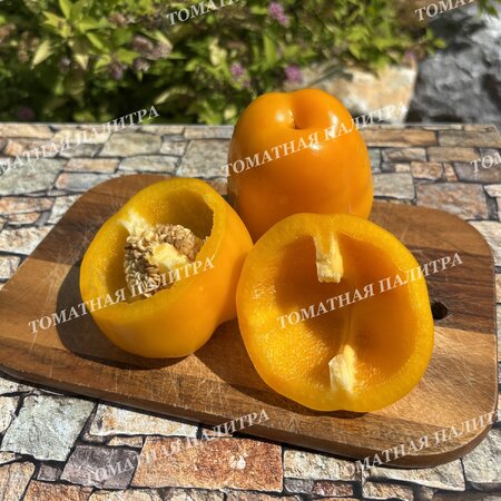 Томат Перец РАУМ / КОСМОС (Raum), Германия.