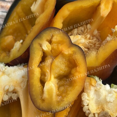 Томат Перец ПУРПЛ СМУДЖ ГОЛД (Purple Smudge Gold), США