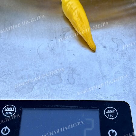 Томат Перец острый АДЖИ ЛИМОН ДРОП (Aji Lemon Drop)