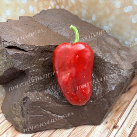 Томат Перец полуострый АЛЬ-БАБ (Al-Bab), Сирия.