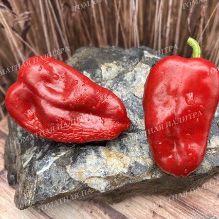 Томат Перец полуострый АЛЬ-БАБ (Al-Bab), Сирия.