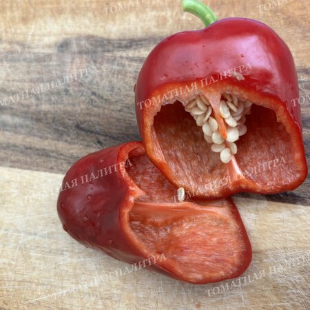 Томат Перец полуострый АЛЬ-БАБ (Al-Bab), Сирия.