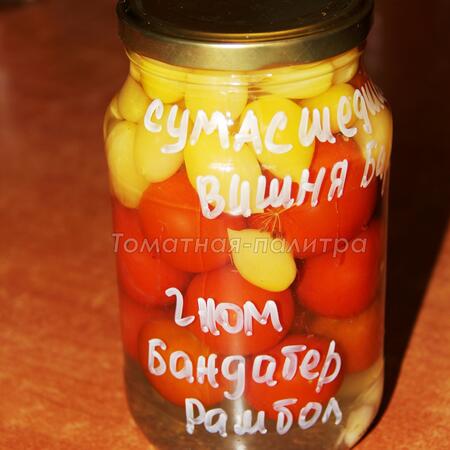 Томат Гном Бандаберг Рамболл (Dwarf Bundaberg Rumball), США-Австралия