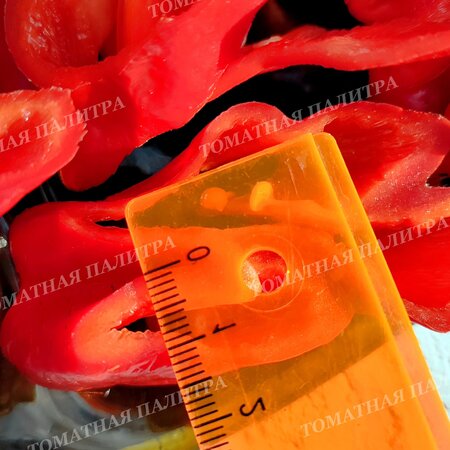 Томат Перец полуострый БАШКИРСКИЙ (из Кумертау)