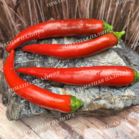 Томат Перец ПОЛУОСТРЫЙ ИЗ ИЗРАИЛЯ
