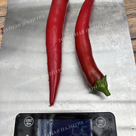 Томат Перец ПОЛУОСТРЫЙ ИЗ ИЗРАИЛЯ