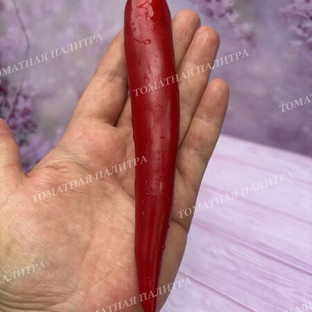 Томат Перец ПОЛУОСТРЫЙ ИЗ ИЗРАИЛЯ