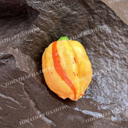 Томат Перец острый ПЕППА ПИЧ СТРАЙПЕЙ (Peppa Peach Stripey)