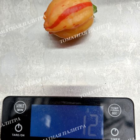 Томат Перец острый ПЕППА ПИЧ СТРАЙПЕЙ (Peppa Peach Stripey)