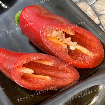 Томат Перец острый ХАЛАПЕНЬО ХАЛАФУЭГО (Jalapeno Jalafuego)