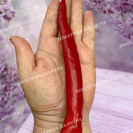 Томат Перец острый СЕВЕРНЫЙ (усл).