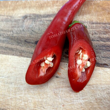 Томат Перец острый СЕВЕРНЫЙ (усл).