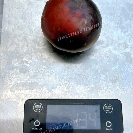 Томат ГНОМ ГОНДВАНА ГРОМ (Dwarf Gondwana Thunder), Австралия