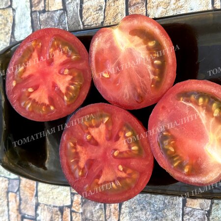 Томат ГНОМ ГОНДВАНА ЛАВА (Dwarf Gondwana Lava), Австралия.