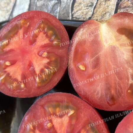 Томат ГНОМ ГОНДВАНА ЛАВА (Dwarf Gondwana Lava), Австралия.