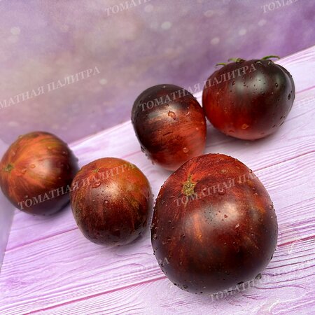 Томат ГНОМ ГОНДВАНА МОЛНИЯ (Dwarf Gondwana Lightning), Австралия.