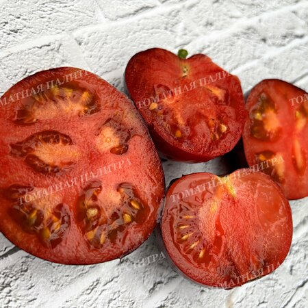 Томат ГНОМ ГОНДВАНА МОЛНИЯ (Dwarf Gondwana Lightning), Австралия.