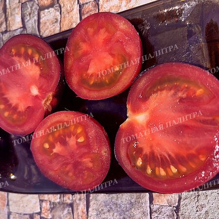 Томат ГНОМ ГОНДВАНА РОЗА (Dwarf Gondvana Rose), Австралия.