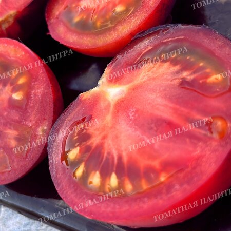 Томат ГНОМ ГОНДВАНА РОЗА (Dwarf Gondvana Rose), Австралия.