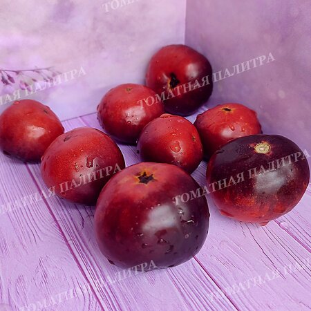 Томат ГНОМ ГОНДВАНА РОЗА (Dwarf Gondvana Rose), Австралия.