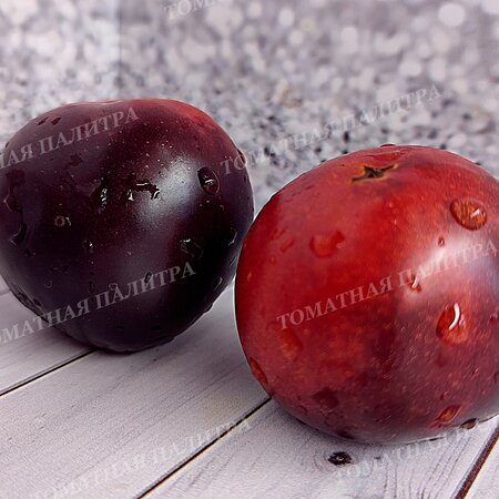 Томат ГНОМ ГОНДВАНА РОЗА (Dwarf Gondvana Rose), Австралия.