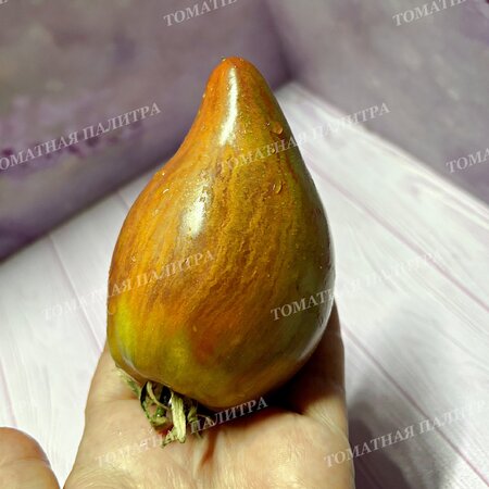 Томат ВОЛШЕБНАЯ РАДУГА