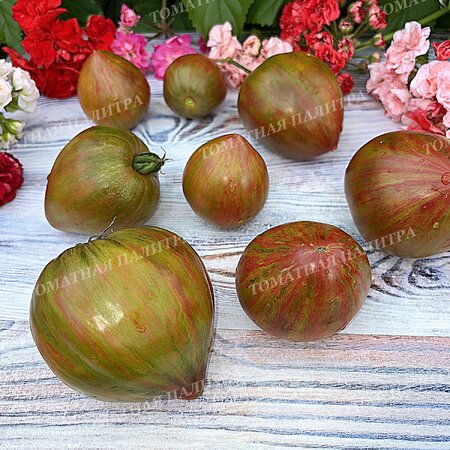 Томат ВОЛШЕБНАЯ РАДУГА