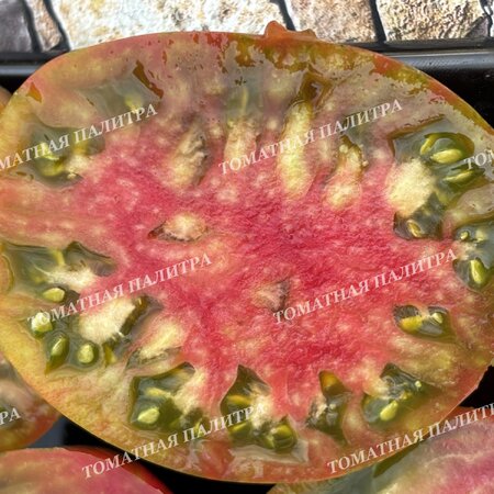 Томат ВОЛШЕБНАЯ РАДУГА