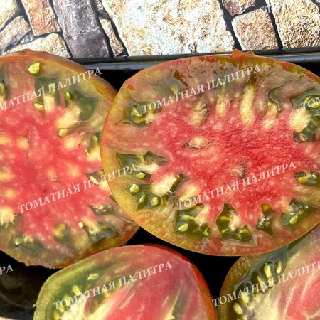 Томат ВОЛШЕБНАЯ РАДУГА