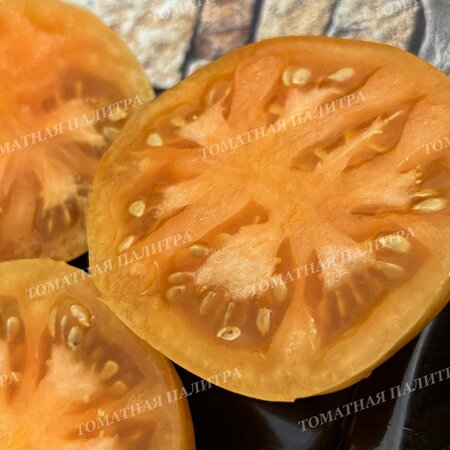 Томат ДЫННЫЙ ЛИКЁР