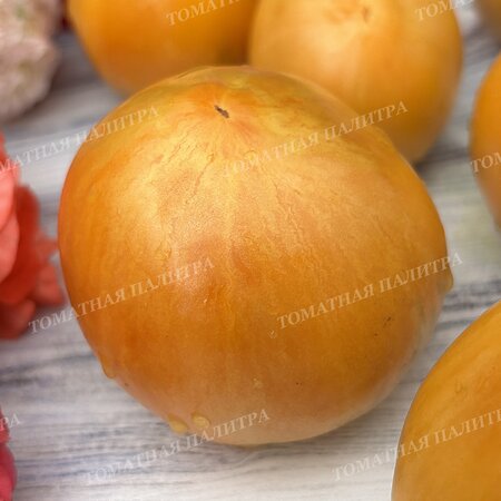 Томат ДЫННЫЙ ЛИКЁР