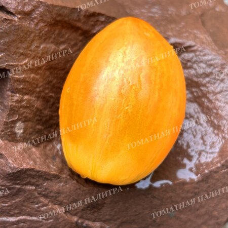 Томат ДЫННЫЙ ЛИКЁР