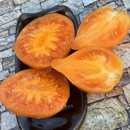 Томат ЗОЛОТАЯ МОДНИЦА