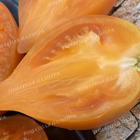 Томат ЗОЛОТАЯ МОДНИЦА