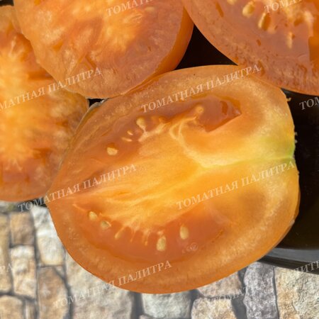 Томат ЗОЛОТАЯ МОДНИЦА (СЛИВКА)