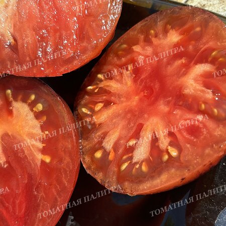 Томат ВИШНЕВЫЙ СИРОП