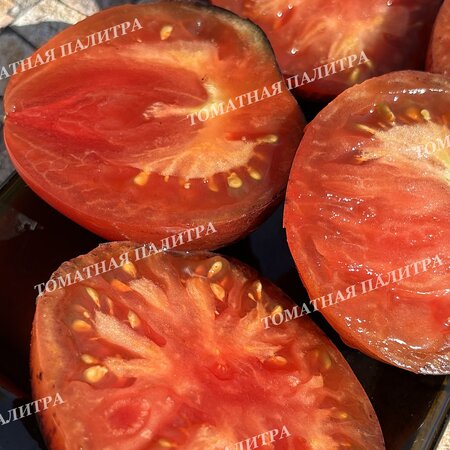 Томат ВИШНЕВЫЙ СИРОП