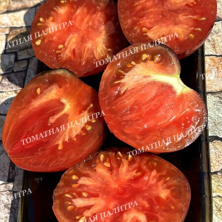 Томат ВИШНЕВЫЙ СИРОП