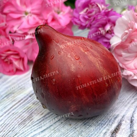 Томат ОГНЕННАЯ КОМЕТА СОФИИ 