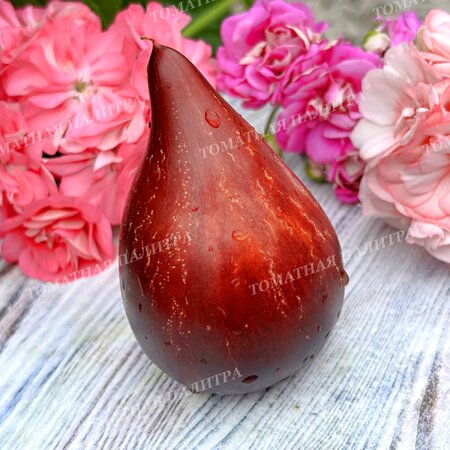 Томат ОГНЕННАЯ КОМЕТА СОФИИ 