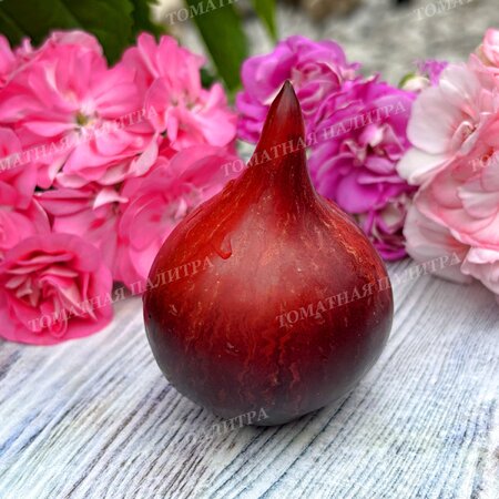 Томат ОГНЕННАЯ КОМЕТА СОФИИ 