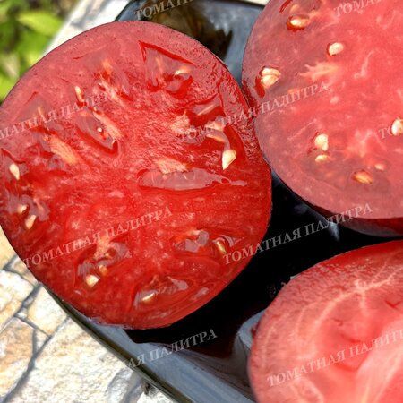 Томат ОГНЕННАЯ КОМЕТА СОФИИ 