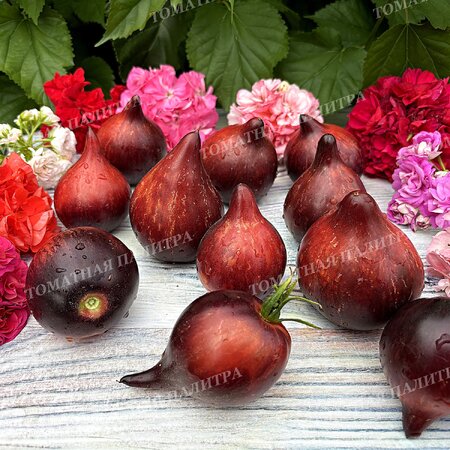 Томат ОГНЕННАЯ КОМЕТА СОФИИ 