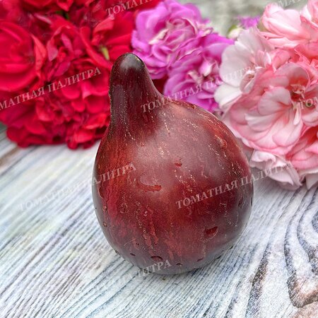 Томат ОГНЕННАЯ КОМЕТА СОФИИ 