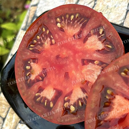 Томат ШОКОЛАДНЫЙ ГЕНРИ