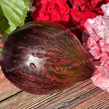 Томат ИЗУМРУДНАЯ КАРАМЕЛЬ ЕЛЕНЫ