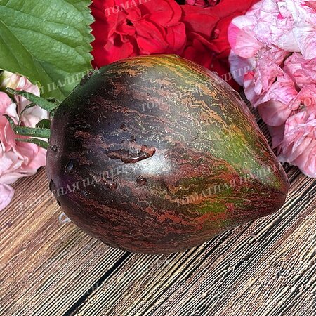 Томат ИЗУМРУДНАЯ КАРАМЕЛЬ ЕЛЕНЫ