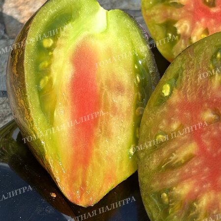 Томат ИЗУМРУДНАЯ КАРАМЕЛЬ ЕЛЕНЫ