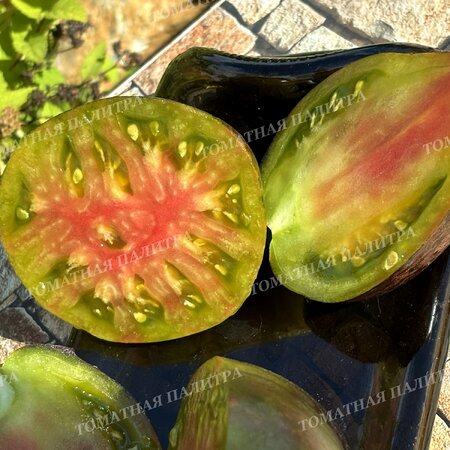 Томат ИЗУМРУДНАЯ КАРАМЕЛЬ ЕЛЕНЫ